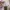 Converse Streetwear Sneakers Pria white pink photo 7