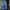 Dickies Vintage Y2K Jeans Pria blue photo 1