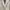 Vintage Casual Cardigan Wanita white photo 4