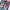 LOLITA Vintage Y2K Boyfriend jeans Wanita navy blue photo 5