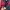 Casual Windbreaker Pria red black photo 7