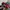 Adidas Casual Casual shoe Pria red photo 1