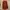 Vintage Cardigan Wanita brown orange photo 6