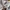 Streetwear Gorpcore Tracksuit Pria white photo 4