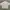 Y2K Skater Formal shirt Pria white photo 1