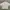 Y2K Skater Formal Shirt Pria White