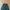 Nike Streetwear Sportswear Sweatpants & Joggers Pria green photo 6