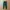 Nike Streetwear Sportswear Sweatpants & Joggers Pria green photo 1