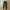 Nike Streetwear Sportswear Sweatpants & Joggers Pria Green