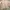 Uniqlo Y2K Gorpcore Puffer jacket Pria tan photo 4