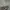 Nike Streetwear Casual Hoody Pria gray photo 3