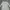 Indie Muslim Midi dress Wanita white photo 2