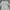 Indie Muslim Midi dress Wanita white photo 1