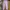 Juicy Couture Bottom Kids purple photo 1