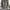ZARA Luxury Sweater Pria gray photo 5