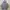 thisisneverthat Streetwear Casual Hoody Pria gray photo 1