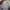 Timberland Muslim Formal shirt Pria multicolor photo 1