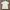 Minimalist Casual Polo shirt Pria white photo 2