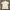 Minimalist Casual Polo Shirt Pria White