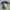 Renoma Coquette Casual Polo Shirt Pria Multicolor Green
