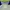 Renoma Coquette Casual Polo shirt Pria multicolor green photo 4