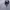 Columbia Vintage Puffer jacket Pria navy gray photo 4