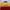 Vintage Windbreaker Pria red yellow photo 5