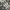 Adidas Streetwear Casual Sweatshirt Pria white black photo 2