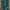 Umbro Vintage Sportswear Tracksuit Pria green photo 1