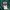 Umbro Vintage Sportswear Tracksuit Pria green photo 5