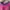 Angel Blue Y2K T-shirt Wanita pink yellow photo 4