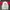 Adidas Sportswear Windbreaker Pria white red photo 2