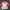 Adidas Sportswear Windbreaker Pria white red photo 1
