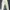 GAP Minimalist Jeans Pria cream photo 2