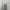 Nike Y2K Sportswear Windbreaker Pria green photo 2