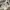 Lafudge Streetwear Casual Formal pants Pria tan cream photo 5