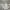 Japanese brand Streetwear Casual pants Pria tan cream photo 5