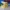 Salomon Sportswear Sneakers Wanita yellow photo 1