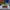 HOKA Sportswear Pria multicolor photo 4