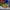 HOKA Sportswear Pria multicolor photo 2