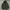 Gorpcore Casual Parka Pria green photo 2