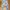Streetwear Jeans Pria multicolor photo 1