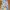 Streetwear Jeans Pria Multicolor