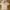 Casual Polo shirt Pria tan photo 1