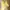 Juicy Couture Vintage Hoody Wanita yellow photo 1