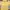 Juicy Couture Vintage Hoody Wanita yellow photo 2