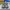 New Balance Sportswear Sneakers Pria multicolor photo 3