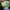 New Balance Sportswear Sneakers Pria multicolor photo 5