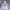 Nike Streetwear Sportswear Hoody Pria white photo 1