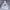 Nike Streetwear Sportswear Hoody Pria White